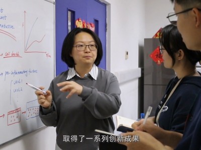 的师德师风发生